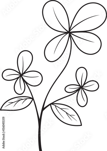 Botanical linear flower outline, Sketch tropical flowers and leaves. Vector illustration