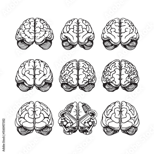 Vector art of nine vector illustrations of human brains viewed from above, showcasing different perspectives and styles, isolated on white background