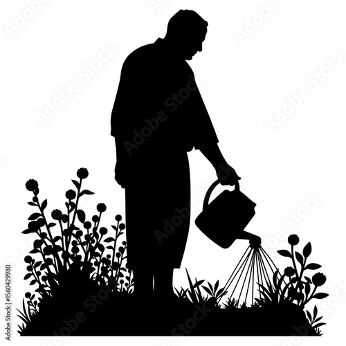 Man watering plants in garden silhouette against white background  