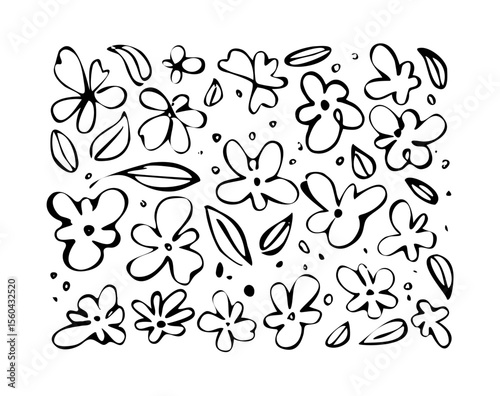 Flower chamomile hand drawn black pens marker paint vector set. Ink drawing flowers and plants, botanical rough line illustration. Isolated elements, daisy, aster, chrysanthemum. Line childish doodle