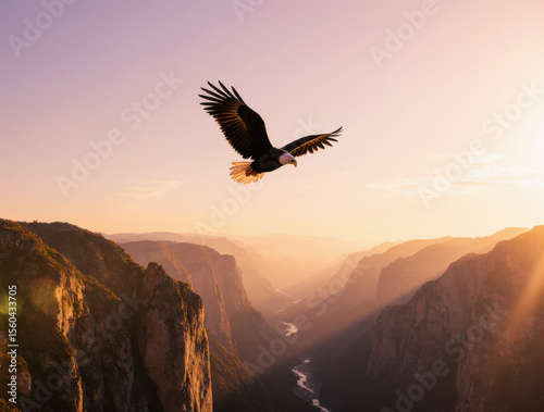Eagle soaring over cliffs and valleys at sunrise