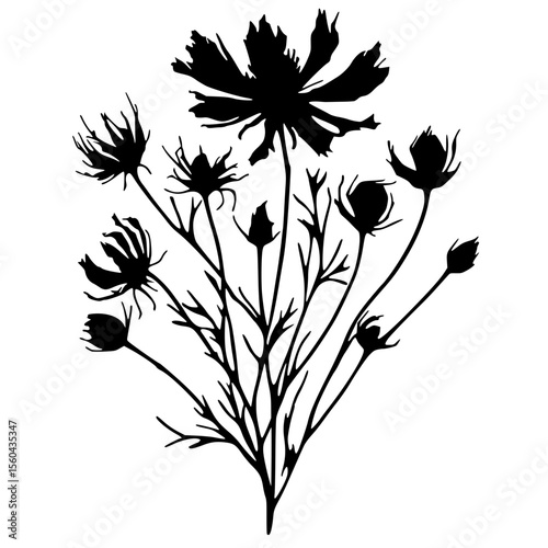 Silhouette of wilted flowers
