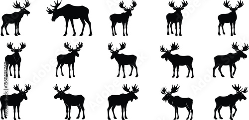 Black Moose Silhouette vector set, on white background.
