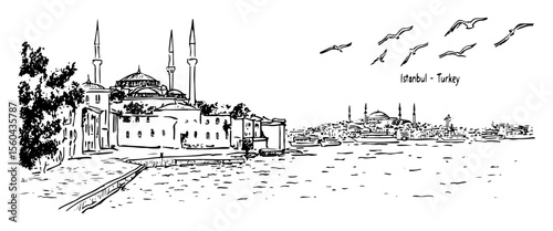 istanbul skyline and mosques vector illustration