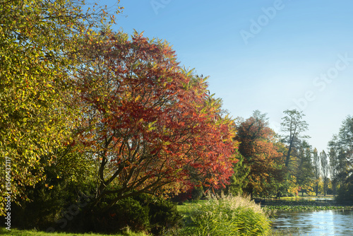 Landschaft 977