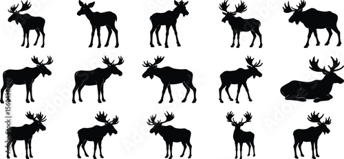 adult moose go black silhouette vector, on white background.
