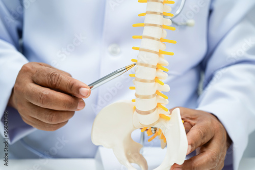 Asian doctor holding spinal nerve and bone model, Lumbar spine displaced herniated disc fragment for treatment medical in the orthopedic department.