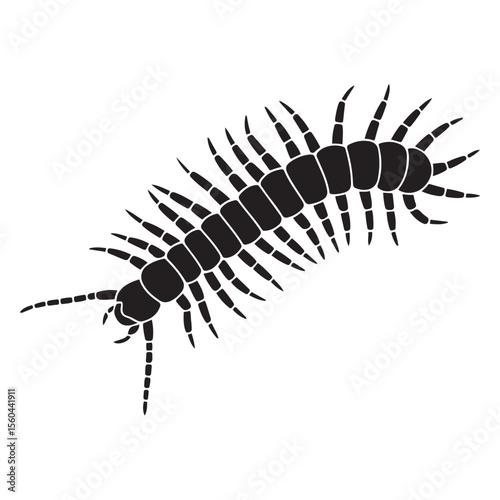 Centipede. Vector black silhouette. with white background