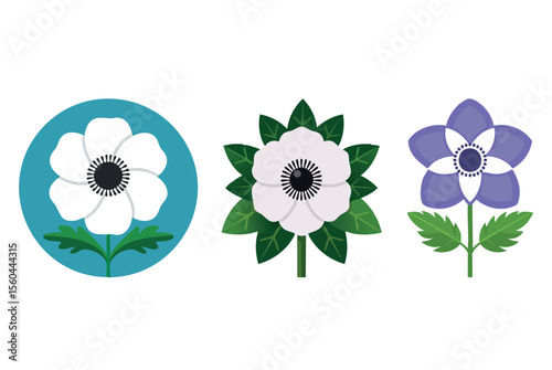 Round Flat Style Anemone Flowers in Soft Pastel Colors