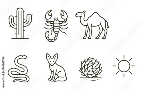 Desert wildlife icons set – outline, simple, nature and animal symbols for desert themes