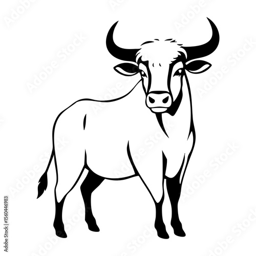 Majestic hand-drawn black and white bull illustration with prominent horns and muscular build, ideal for farm or animal designs