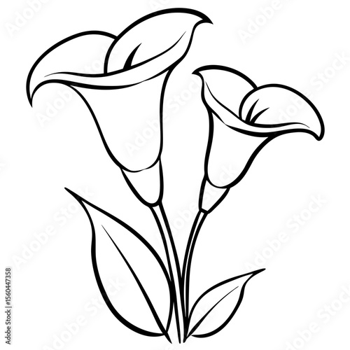 lily of the valley