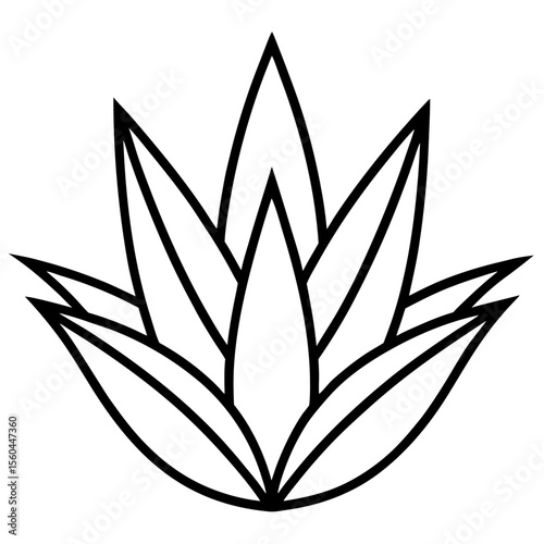 silhouette of a plant