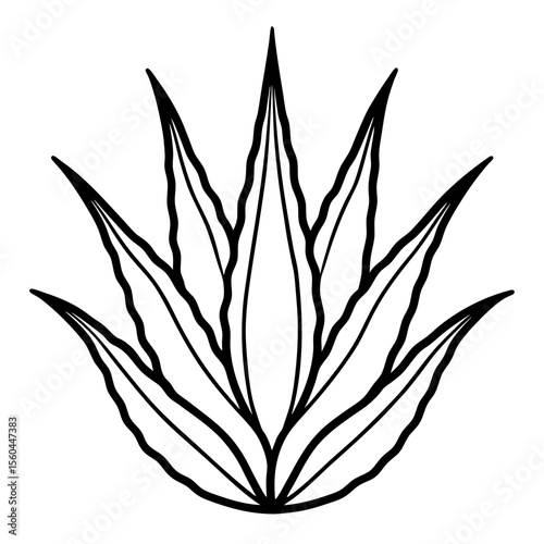 silhouette of a plant