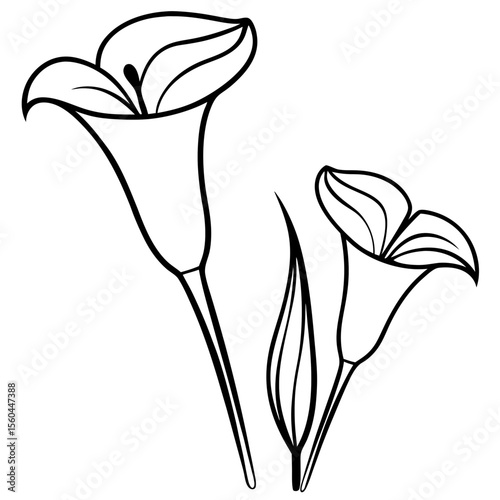 lily of the valley