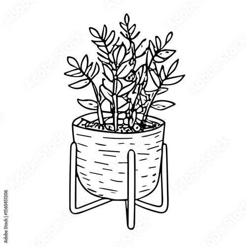 Potted plant doodle sketch vector illustration on transparent background, home greenery