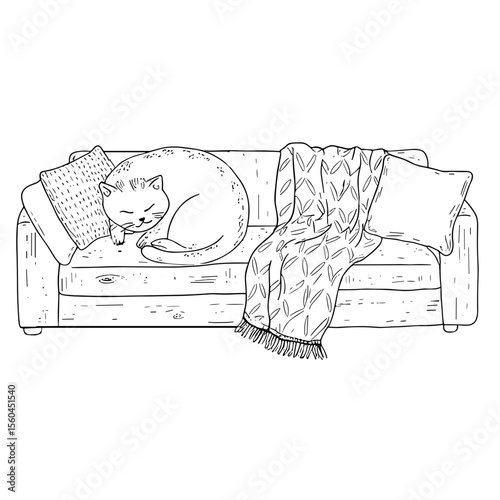 Cozy cat sleeping on sofa doodle sketch vector illustration on transparent background, home comfort