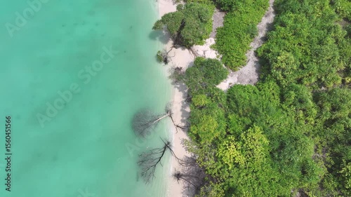 Wallpaper Mural Aerial view of beach and trees, Maldives. Torontodigital.ca