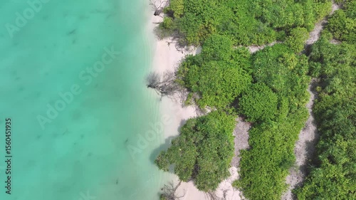 Wallpaper Mural Aerial view of island with turquoise water, Maldives. Torontodigital.ca