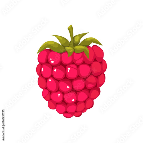 Raspberry berry. Ripe summer berry with green leaves on a white background.