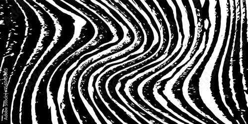 Straight line vector brush strokes. Black hand drawn stripes, smears. Chinese or Japanese calligraphy brushstrokes set. Rough grunge thick paint line texture. Vector sketch rectangle text boxes