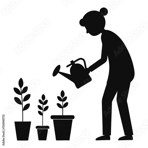 Silhouette of a Person Tending to Growing Plants in Pots, Watering and Cultivating