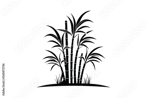 Sugarcane field with leaves black and white silhouette