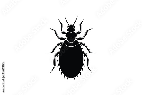 Detailed Silhouette Illustration of a Louse Insect on a White Background