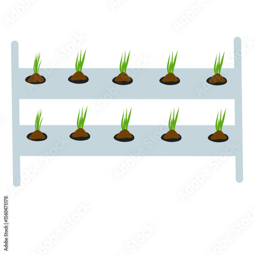 Illustration of hydroponic plants. Illustration of planting with a hydroponic system. Flat design illustration of hydroponics 
