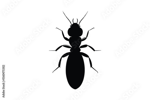 Termite Insect Pest Control Silhouette on White Background