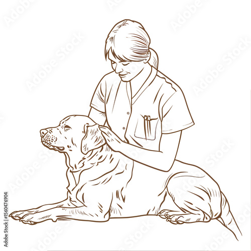 veterinarian women doing a massage to a dog one line drawing