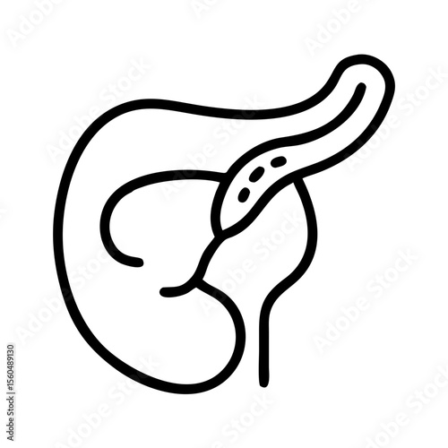 Line art illustration of a human gallbladder and stomach anatomy  