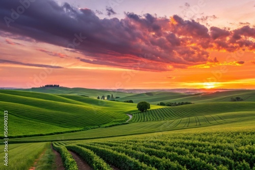 Serene Sunset Over Lush Green Fields and Rolling Hills Landscape