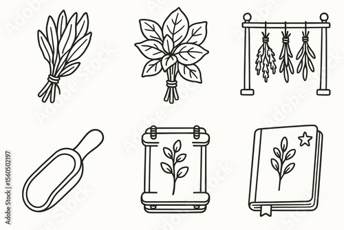 Botanical line art illustrations of herbs and plant symbols vector icon isolated illustration