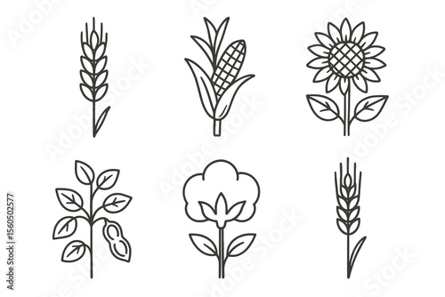 Outline icons of wheat, corn, sunflower, soybean, cotton, and rice plants vector icon isolated illustration
