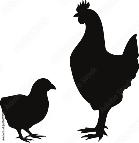 Hen and chick silhouettes farm animals poultry
