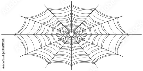 spider web vector
