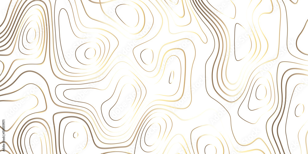 Fototapeta premium Topographic canyon geometric map relief texture with curved layers and shadow. abstract White background with a beautiful pattern, Topographic contour lines vector map seamless pattern vector.