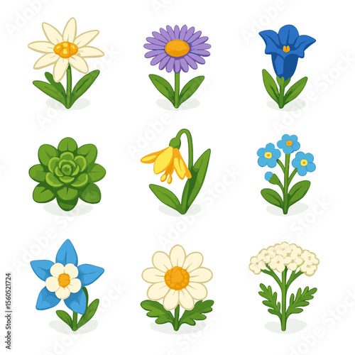 Alpine Wildflowers Icons. Isometric Flat icon set of alpine wildflowers: edelweiss bloom, alpine aster, gentian flower, saxifrage