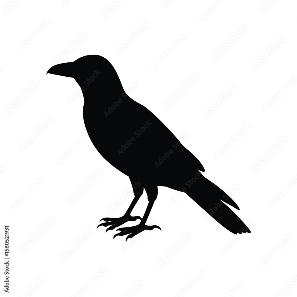 Fototapeta premium A black crow silhouette vector illustration