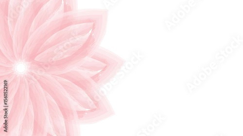 pink flower rotation animation on white background