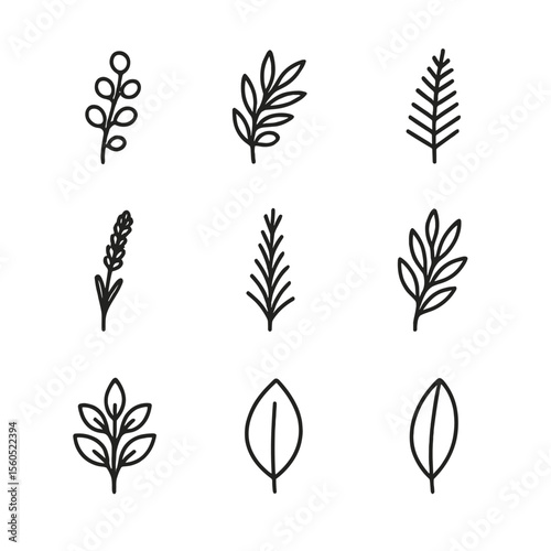 Black Greenery Icon Set. Outline icon set of Types of Greenery for Dried Arrangements: eucalyptus sprig, olive branch, fern frond,