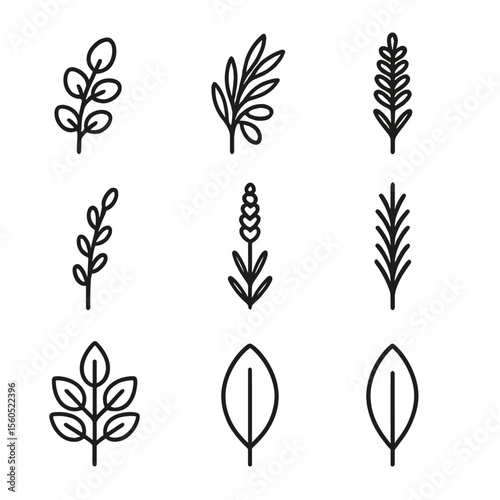 Black Greenery Icon Set. Outline icon set of Types of Greenery for Dried Arrangements: eucalyptus sprig, olive branch, fern frond,