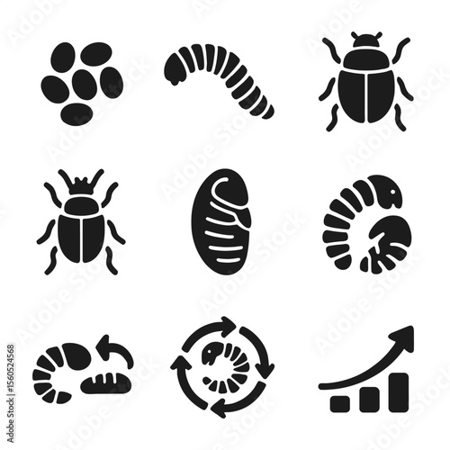 Beetle Life Icons. Solid, filled icon set of beetle life stages: egg, larva, pupa, adult beetle, cocoon, molting larva,