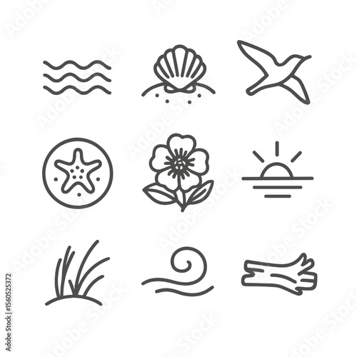 Coastal Nature Outline Icons. Outline icon set of May coastal nature moments: gentle waves, seashell on sand, migrating seabird,