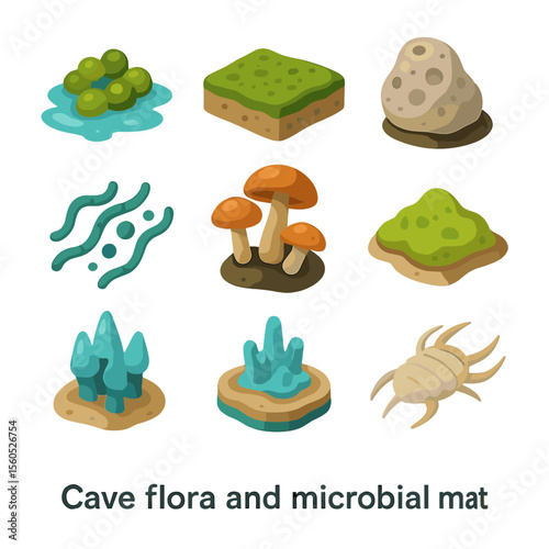 Cave Flora Icons. Isometric Flat icon set of cave flora and microbial mats: algae bloom, cyanobacteria mat, microbialite,