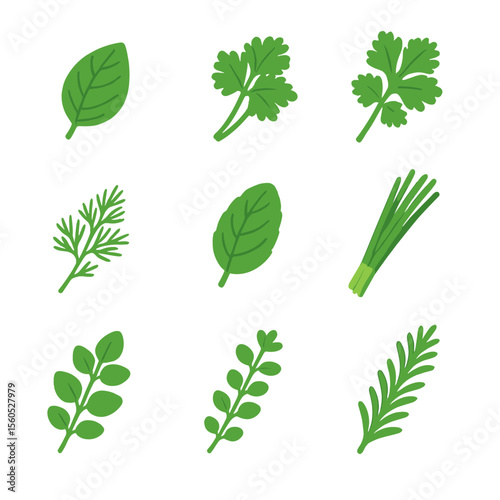 Herb Icon Collection. Isometric Flat icon set of kitchen herbs harvest: basil leaf, parsley bunch, cilantro bunch, dill sprig,