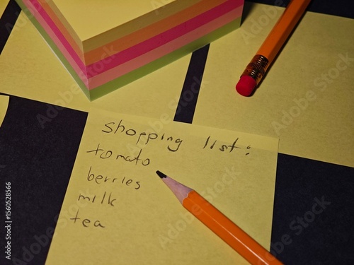 Obraz na plátně Make a shopping list for the store