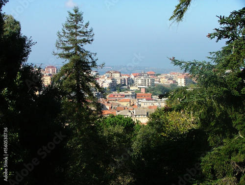 Enchanting view of Vibo Valentia framed by the lush greenery of a forest park. The historic cityscape emerges beyond a canopy of tall trees, blending urban charm with natural tranquility. Sunlight