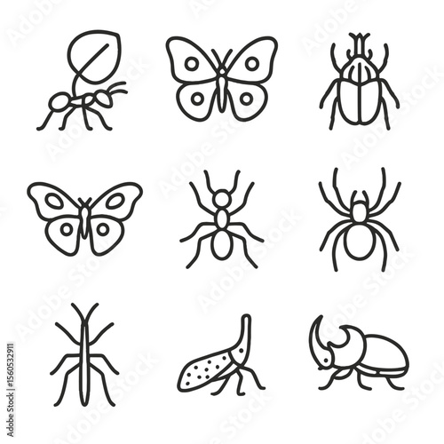 Jungle Insect Icons. Outline icon set of jungle insects & arachnids: leafcutter ant, morpho butterfly, goliath beetle, atlas moth,